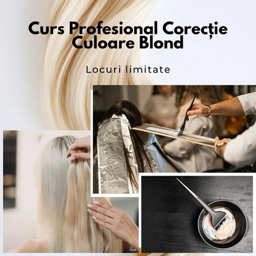 Curs Profesional – Corecție Culoare Blond