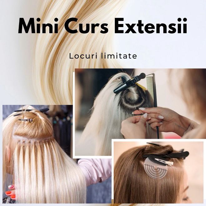 Mini Curs Extensii – 1 Zi / – 4 Sisteme într-o singură zi